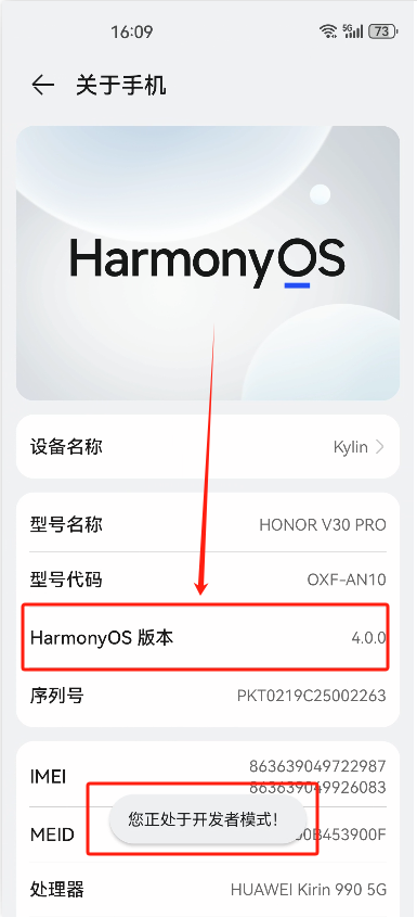 有线投屏找不到开发者选项2