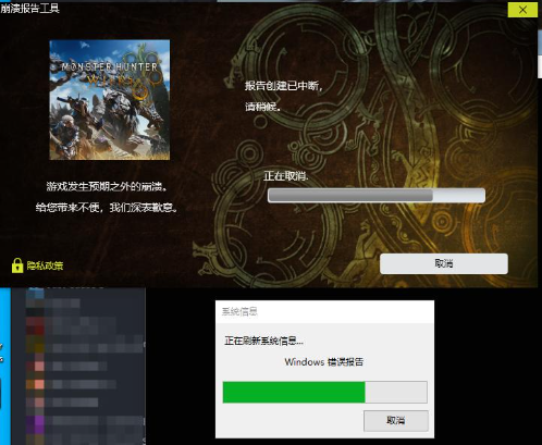 怪物猎人荒野13