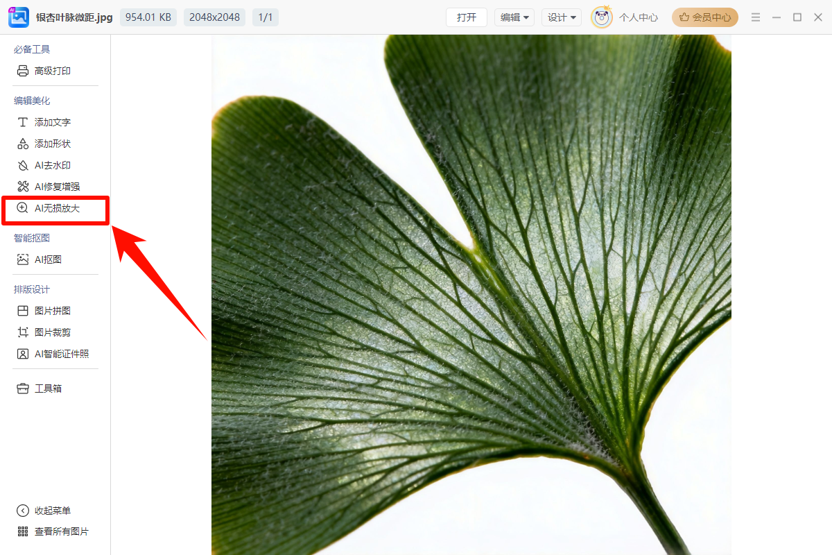 金舟AI看图编辑王54
